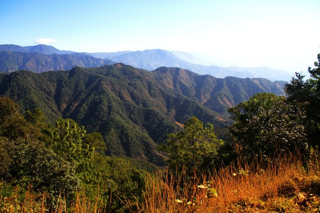 Cerro Flores, Santa Catarina Loxicha<br />Photo: Lalo Romero