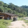 Finca Las Nieves: Reviving Local
Coffee Production