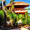 The Hostel Experience
in Puerto