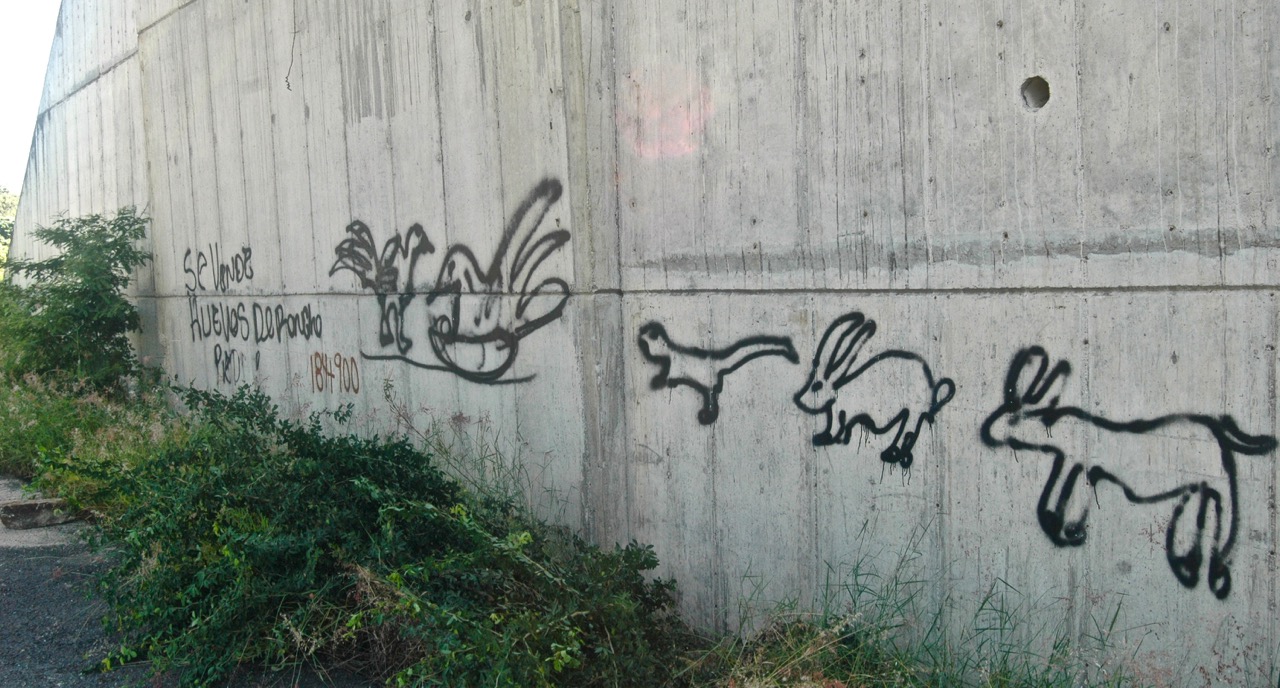 Graffiti art under an overpass. Photo: Ernesto J. Torres, Casa 12