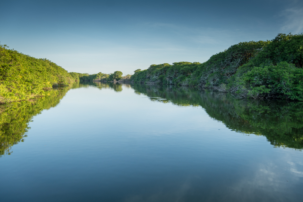 Palma Sola Lagoon<br />Photo: Ernesto J. Torres, Casa 12