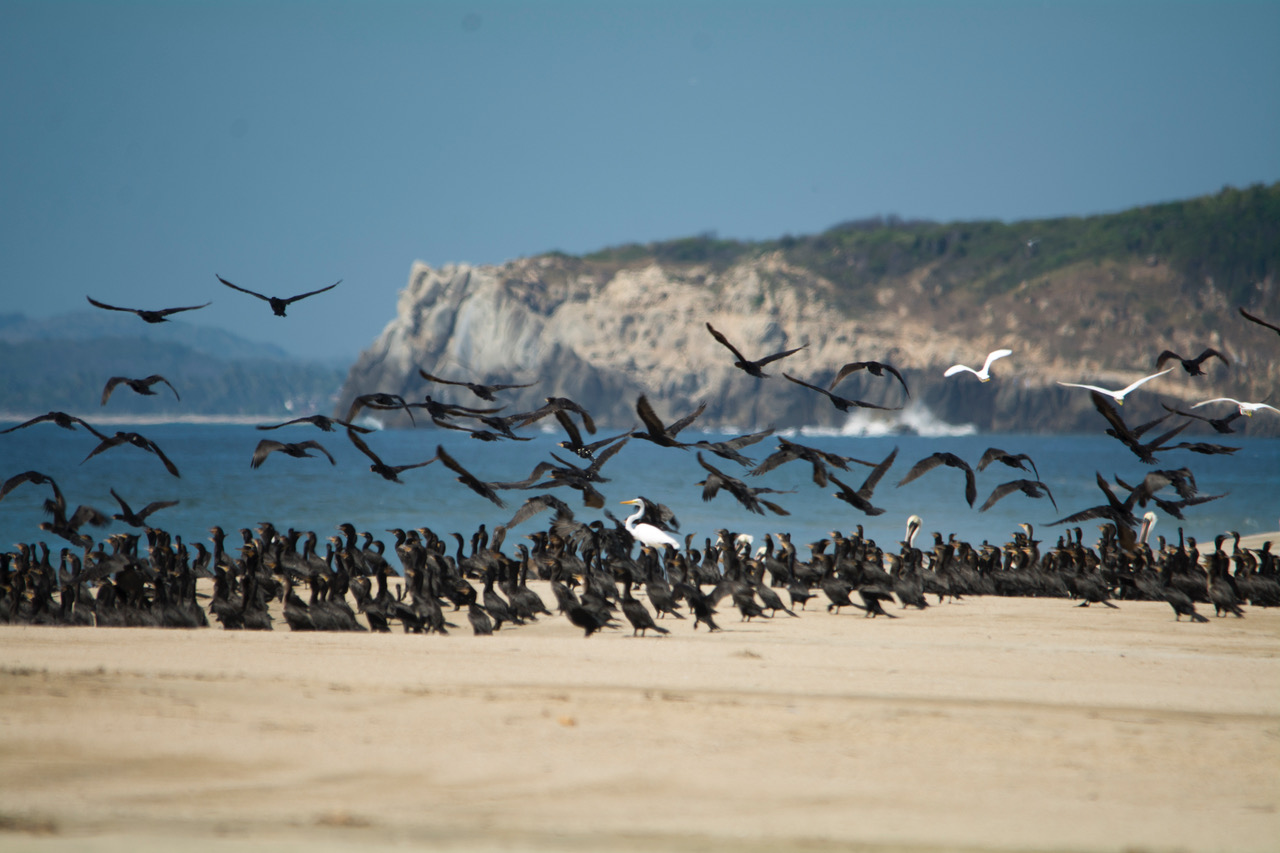 Puerto Suelo beach