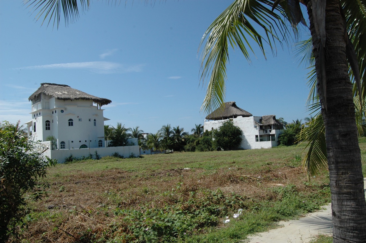 Carrizalillo