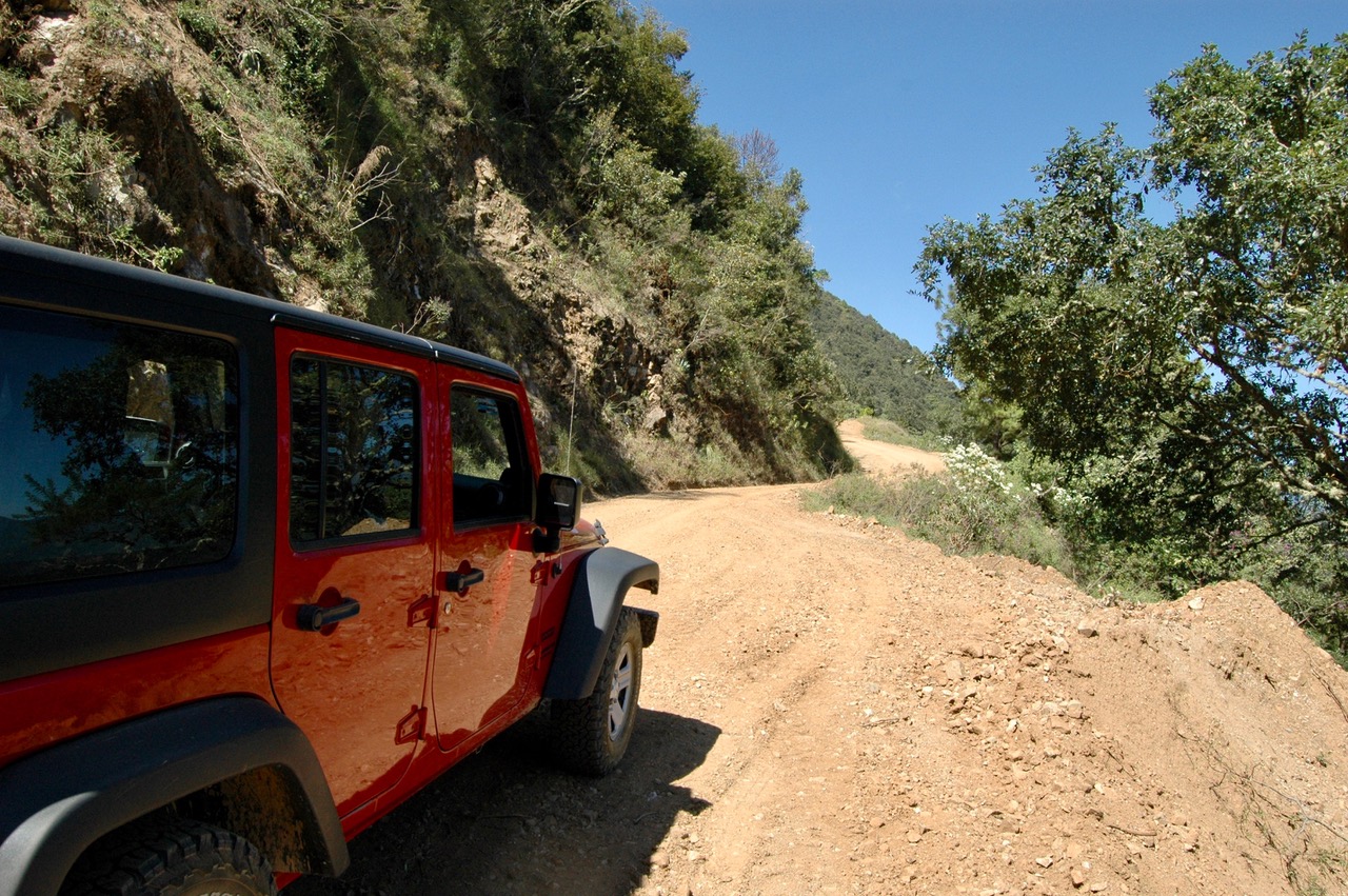 The road between Santa Catarina Loxicha and San Francisco Coatlán. Photo: Barbara Joan Schaffer