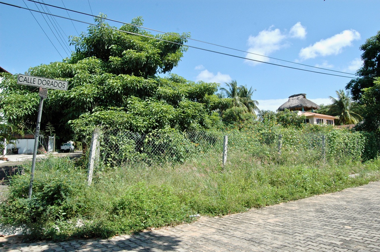 Rinconada