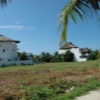Real Estate In Paradise