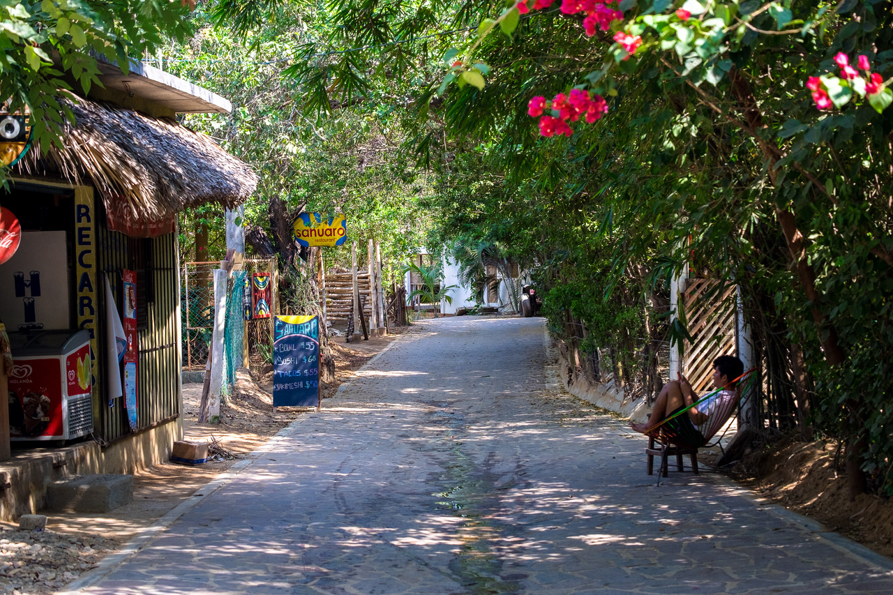 Things To Do on
a Day Trip to Mazunte