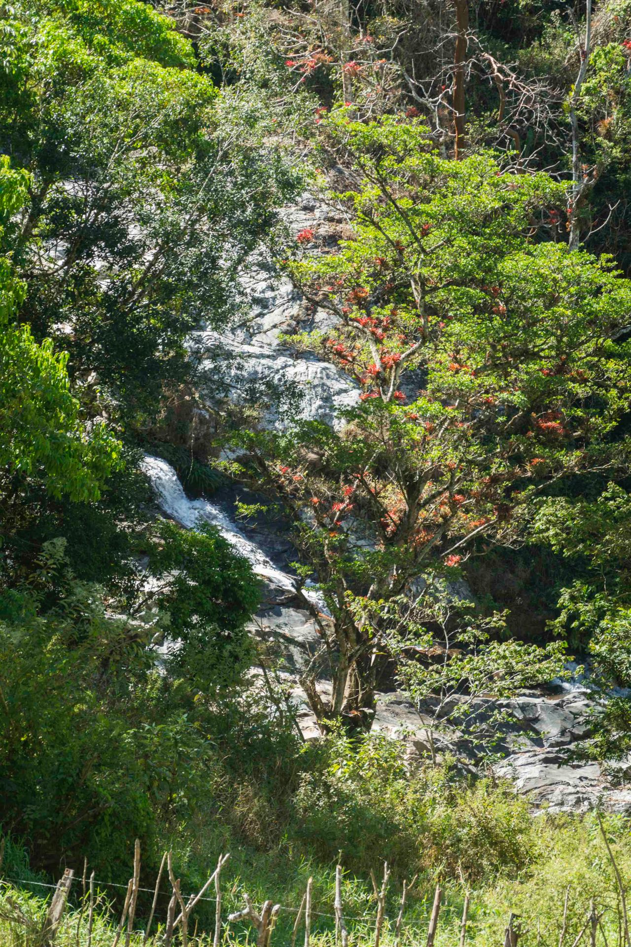 Waterfall. Photo: Ernesto J. Torres