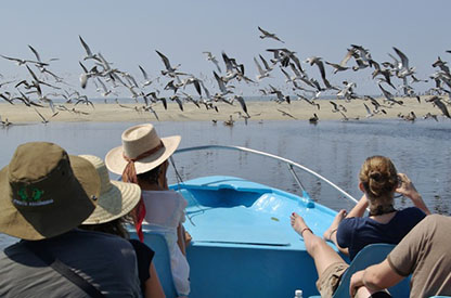 Manialtepec Lagoon. Photo: Mike Malone