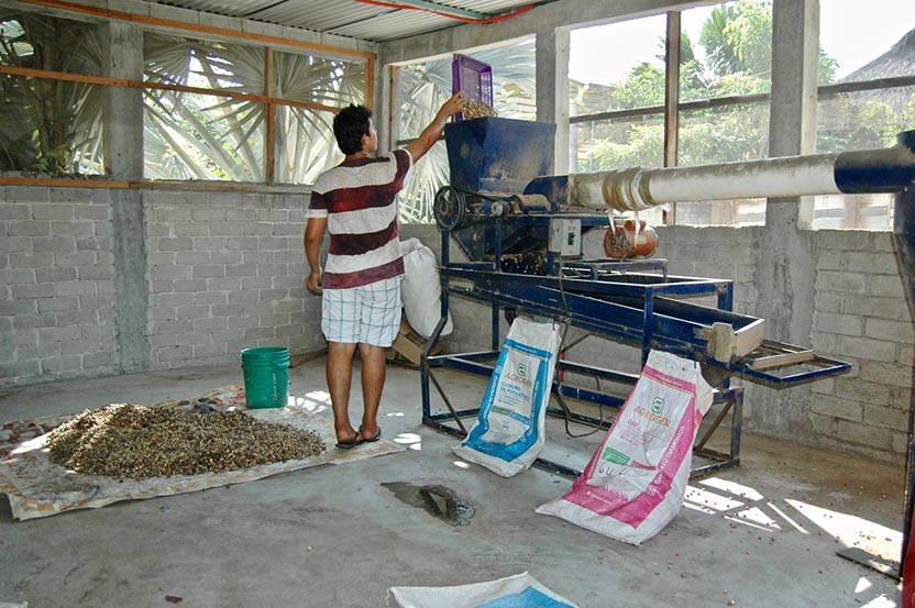 Restaurante. Photo: Barbara Joan Schaffer