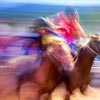 Horse Race in Colotepec