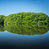 The Lagoons of Chacahua