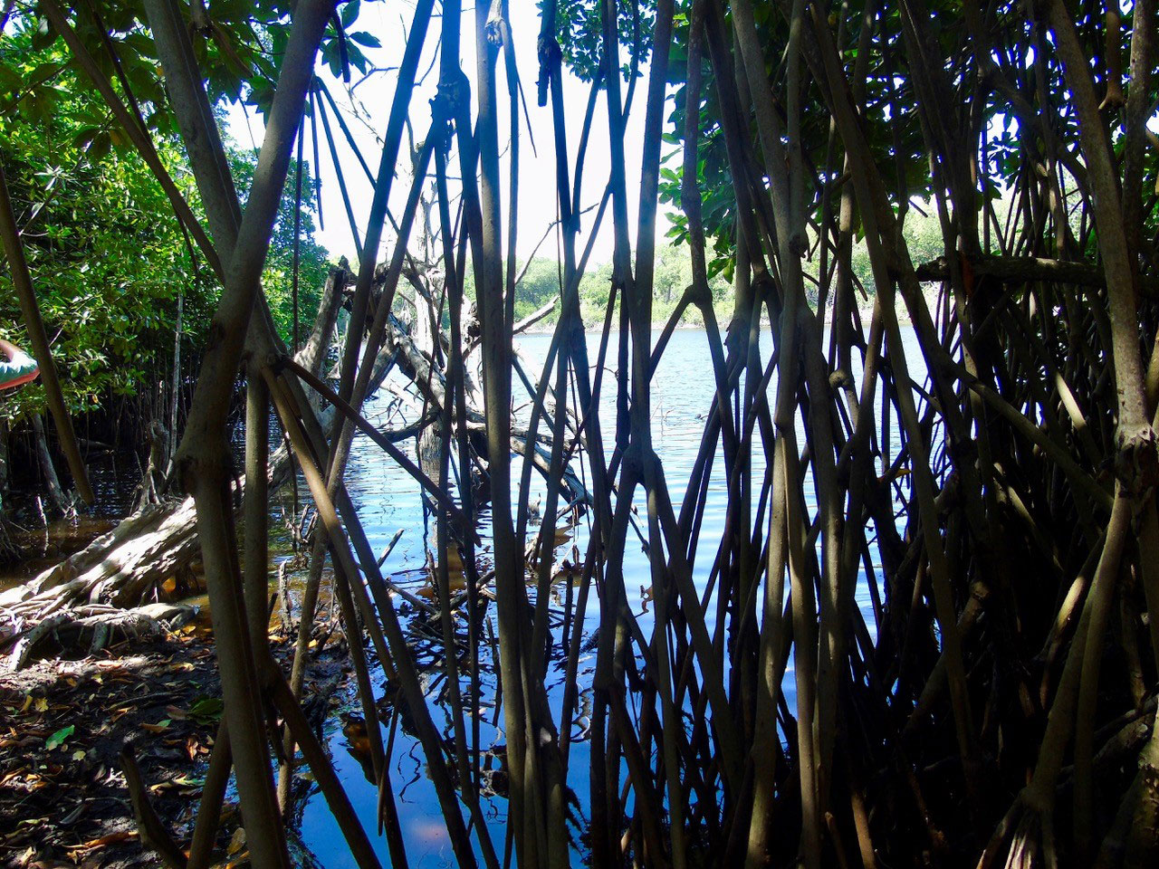 Playa La Encomienda. Foto: Ernesto J. Torres