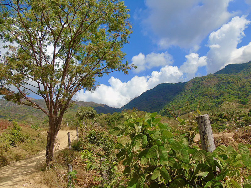 San Francisco Cozoaltepec. Photo: Ernesto J. Torres
