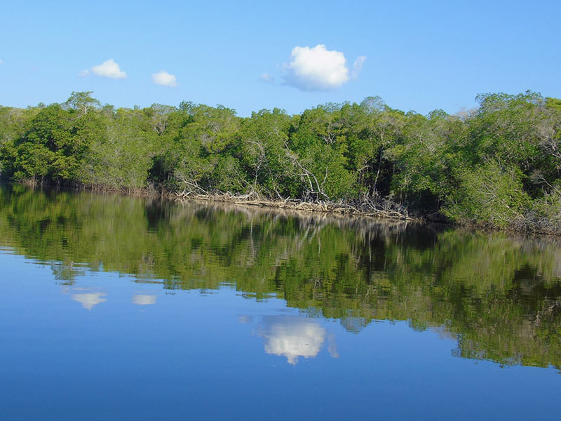 Por la mañana en la Laguna de Manialtepec. Foto: Ernesto J. Torres