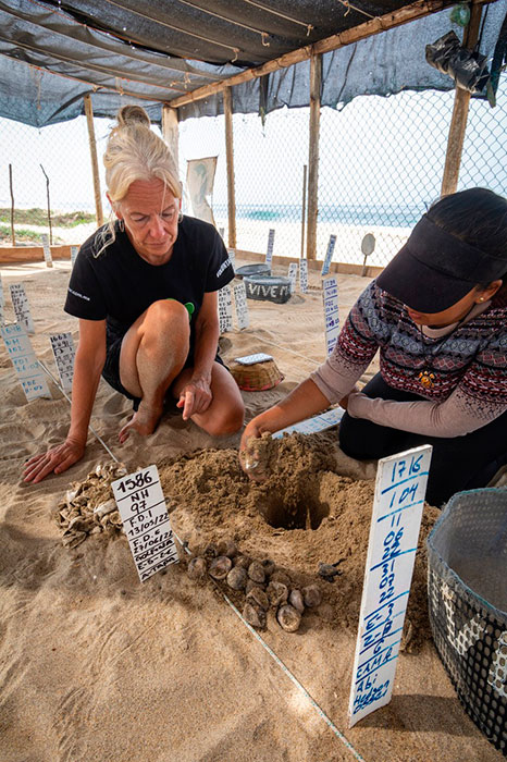 International volunteer, Stefanie Schmitz at the
ViveMar hatchery in Agua Dulce.