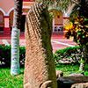 A Very Short History of Puerto Escondido