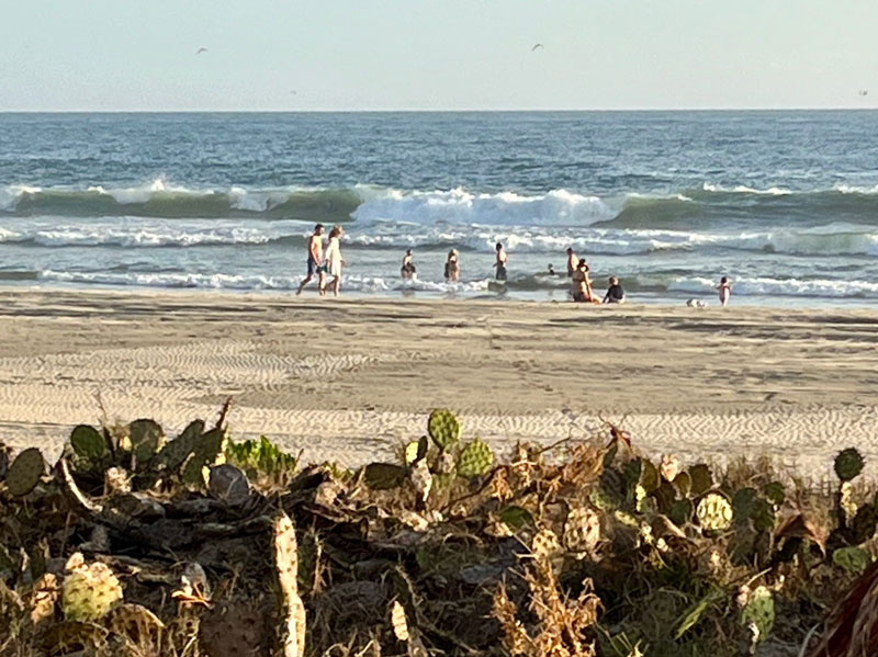 Playa El Tomatal