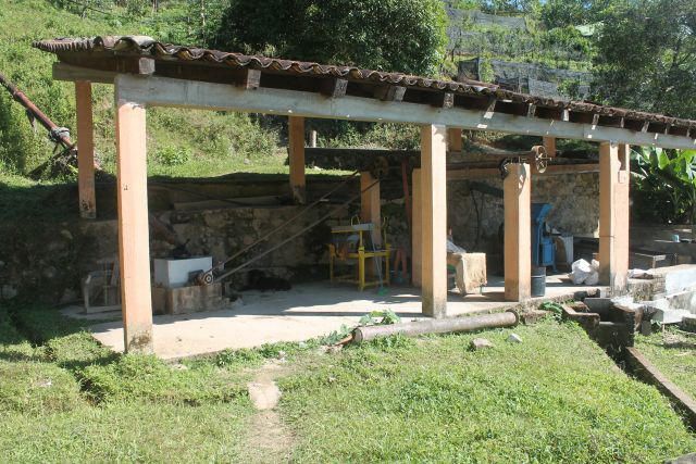 Coffee Processing