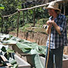 Finca las Nieves