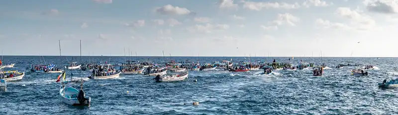 fisher boats