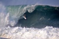 Mark Healey