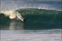 Mark Healey
