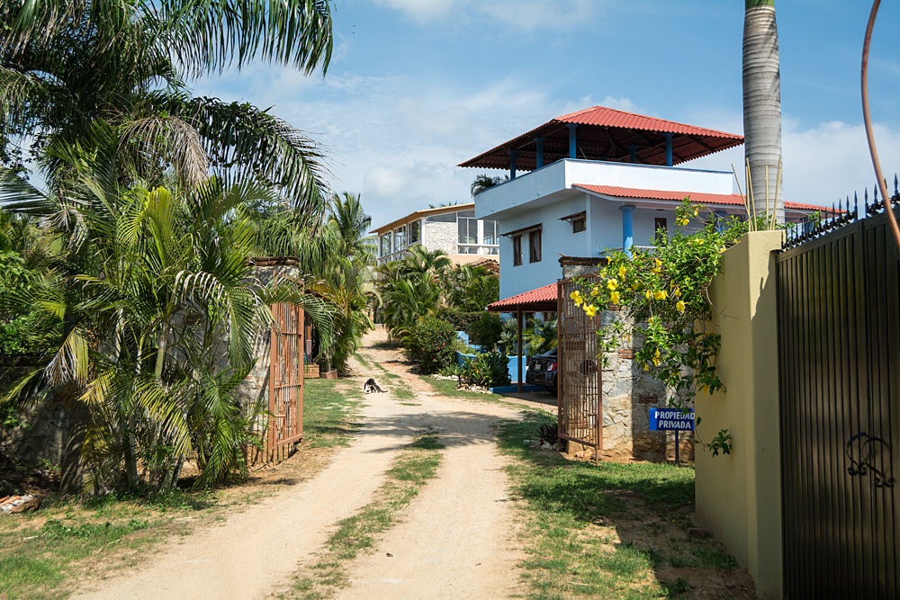 Hilltop houses<br />Photo: Ernesto J. Torres, Casa 12