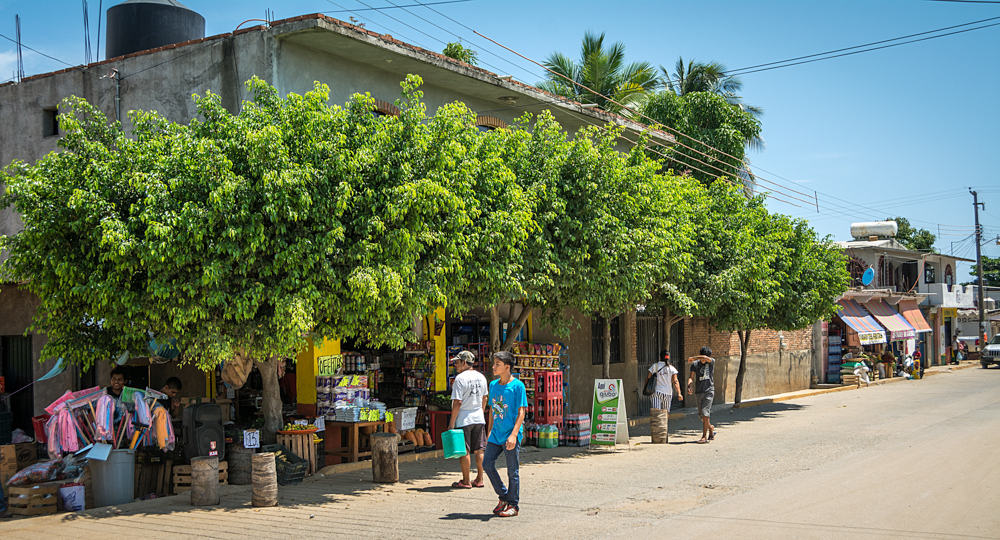 Shops. Photo: Ernesto J. Torres, Casa 12