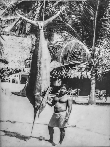 Baltazar, Marlín