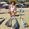 Sport Fishing in Puerto Escondido