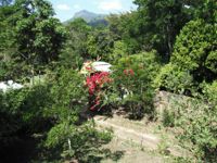 Rancho El Sagrado