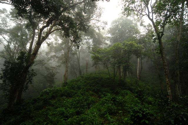 Finca las Nieves. Photo: Gustavo Boltjes