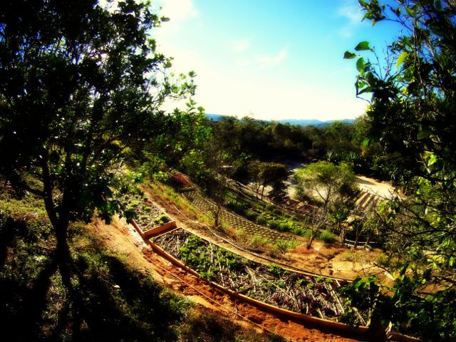 Finca las Nieves. Photo: Gustavo Boltjes