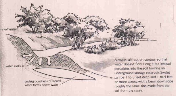 Swale